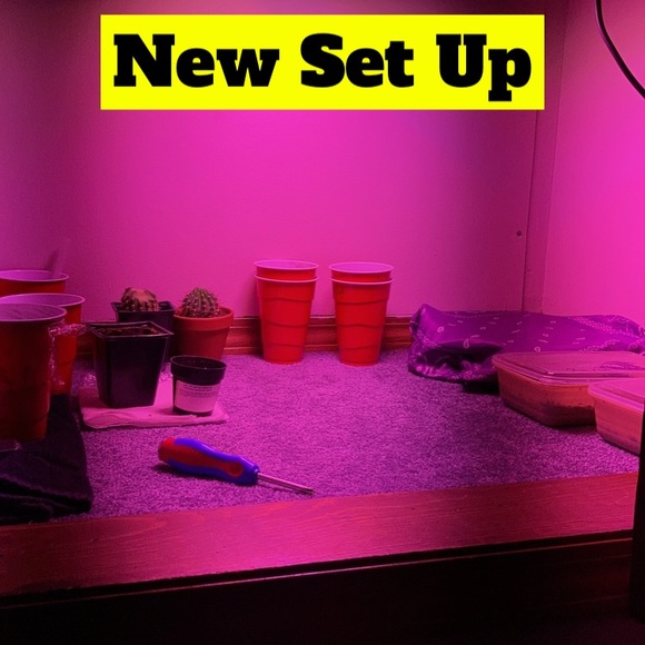 !Beginner Cactus Farmer! - Picture 6 of 6